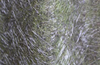 Thwaites fibreglass roof work