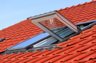 Thwaites roof window